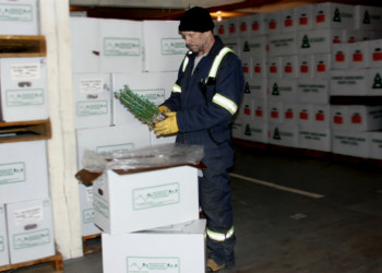 Legacy Hawkeye cold storage handling